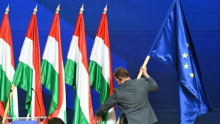 EU ruft neue Regierung in Ungarn zu Reformen auf - Debatte um eingefrorene EU-Gelder