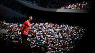 Roland-Garros: Djokovic et Alcaraz &agrave; une marche d'une demi-finale choc