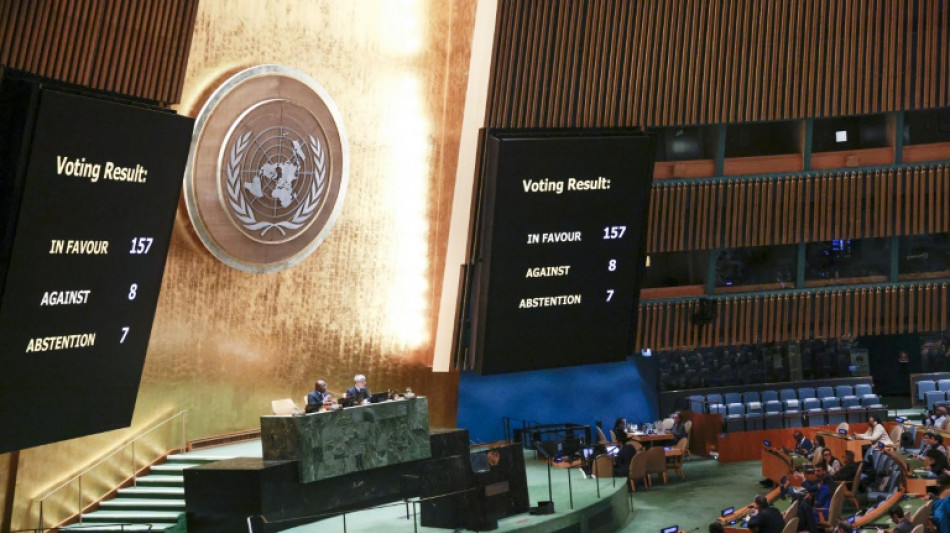 La Asamblea General de la ONU aboga por la creaci&oacute;n de un Estado palestino
