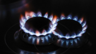 Il gas chiude a 49 euro al Ttf di Amsterdam, ottimismo su accordo di pace