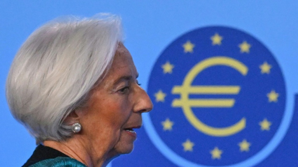 ECB holds interest rates as strong euro causes jitters