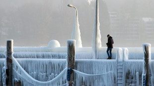 El gélido aire siberiano podría ayudar a Putin este invierno