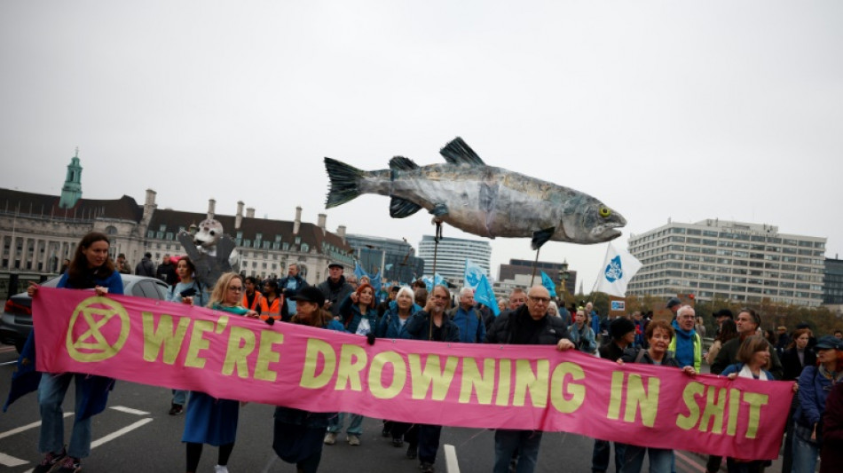 Miles de personas marchan en Londres en reclamo de agua m&aacute;s limpia