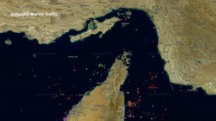 Media Iran, nave Usa a Hormuz tornata indietro dopo minaccia di attacco da Teheran