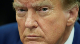 Massenabschiebungen, Druck auf Verb&uuml;ndete: Trump nennt Pl&auml;ne f&uuml;r zweite Amtszeit