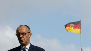 Merz vermutet Kreml hinter Drohnen-Vorfällen - Pistorius spricht von "Angstmache"