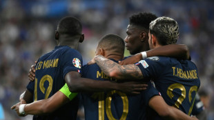 Foot: l'&eacute;quipe de France de Deschamps au presque parfait