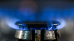 Gasspeicher in EU sollen zum Winter zu 80 Prozent gef&uuml;llt sein