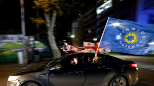 G&eacute;orgie: le pouvoir assure que l'UE est sa "priorit&eacute;", avant une manifestation d'opposition