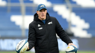 Argentina footballers 'inspire' Contepomi's Pumas before England Test