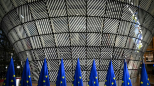 L'UE va inviter une d&eacute;l&eacute;gation de repr&eacute;sentants talibans &agrave; Bruxelles pour parler migration