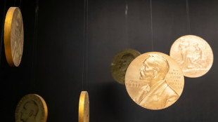 Nobel institute to probe possible leaks over peace prize