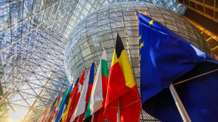 Fonti, 'uso di crediti carbonio non ridurr&agrave; ambizione climatica'