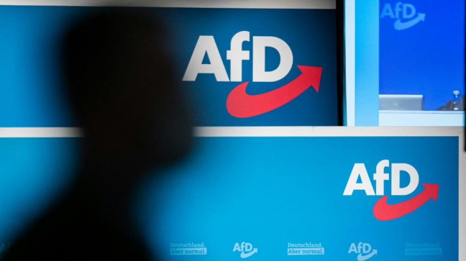 AfD-Parteitag macht Weg f&uuml;r m&ouml;gliche Einzelspitze frei