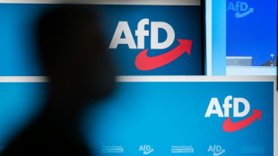 AfD nominiert Werteunion-Chef Otte f&uuml;r Bundespr&auml;sidenten-Amt