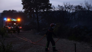 Occitanie: feux ma&icirc;tris&eacute;s dans l'H&eacute;rault et les Pyr&eacute;n&eacute;es-Orientales