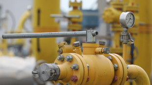 Il gas conclude in ribasso (-2,5%) a 47,8 euro al Megawattora