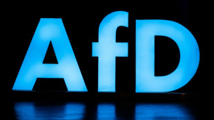 Online-Medien: Chef von AfD-Nachwuchs fordert mehr inhaltliche Tiefe seiner Partei