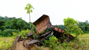 Loi simplification: un article sur la réforme du code minier inquiète les écologistes en Guyane