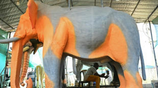 En Inde, l'éléphant-mécanique au secours du bien-être animal