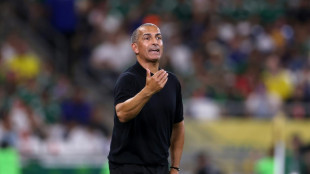 Sabri Lamouchi cesado, Herv&eacute; Renard nuevo seleccionador de T&uacute;nez
