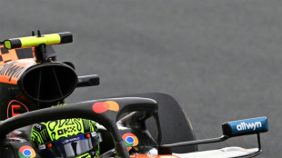 Norris sets early pace at Dutch Grand Prix practice