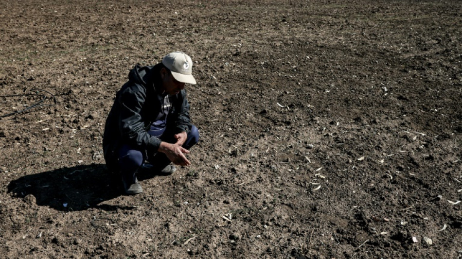 Morocco winter breaks heat records: meteorologists