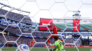 Norway coach hails Haaland after World Cup double