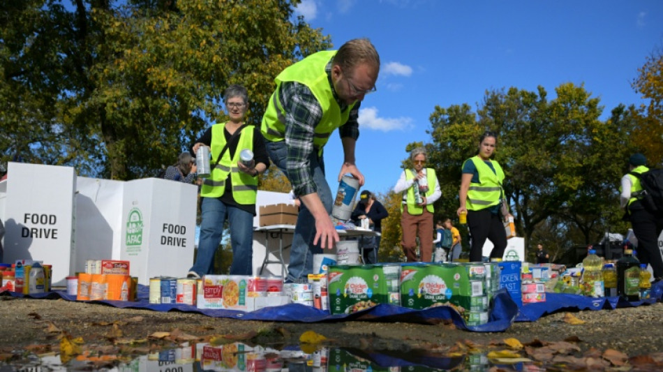 Food stamps, the bulwark against hunger for over 40 mn Americans