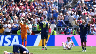 Bosnia in strong position to reach last 32, Qatar out of World Cup