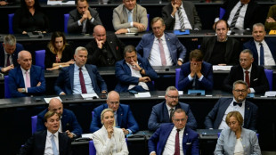 Rhein fordert Ausschussposten im Bundestag f&uuml;r AfD - Unionsfraktion widerspricht
