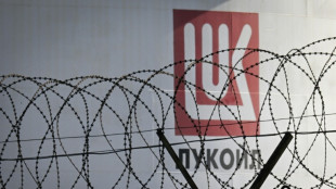 Sanctions am&eacute;ricaines: quel avenir pour la plus grande raffinerie des Balkans?