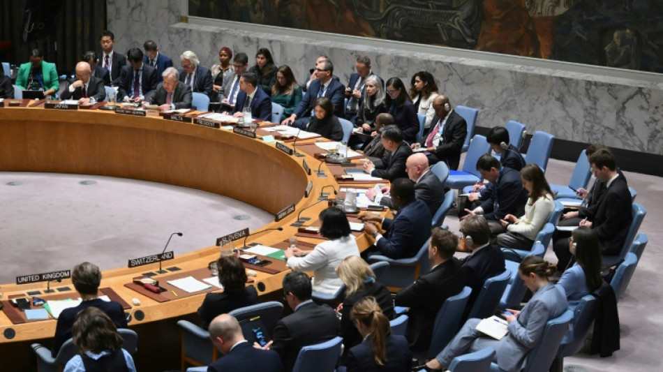 Panam&aacute;, Pakist&aacute;n y Somalia, entre los elegidos en el Consejo de Seguridad de la ONU
