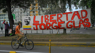La relatora de la ONU expresa preocupaci&oacute;n por la situaci&oacute;n del exvice de Ecuador Jorge Glas