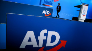 AfD plant Bundesparteitag in Erfurt - Innenminister: Signal für Stärke Höckes