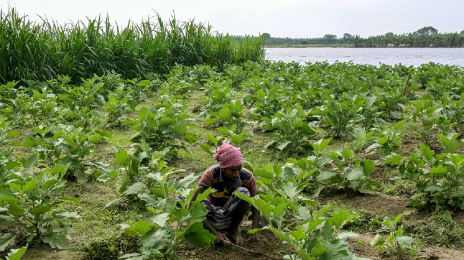 Banglad&eacute;s aprob&oacute; la construcci&oacute;n de una enorme presa para enfrentar problemas en el suministro de agua