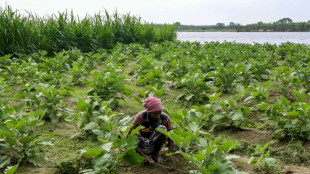 Banglad&eacute;s aprob&oacute; la construcci&oacute;n de una enorme presa para enfrentar problemas en el suministro de agua