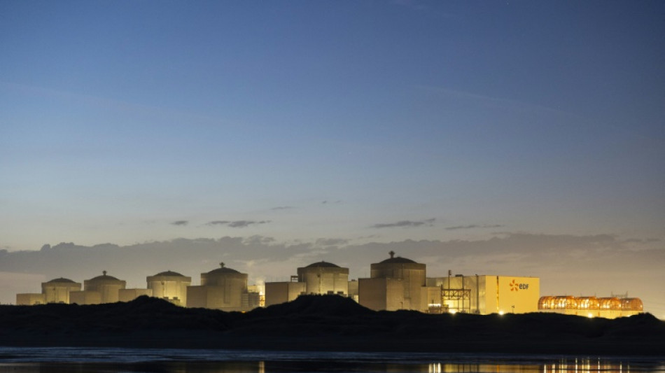 Des méduses forcent l'arrêt de la centrale nucléaire de Gravelines