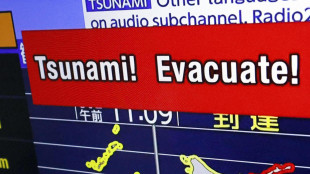 Sisma 6.7 a largo Giappone, allerta tsunami