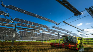 Under pressure, EU to take axe to green rules