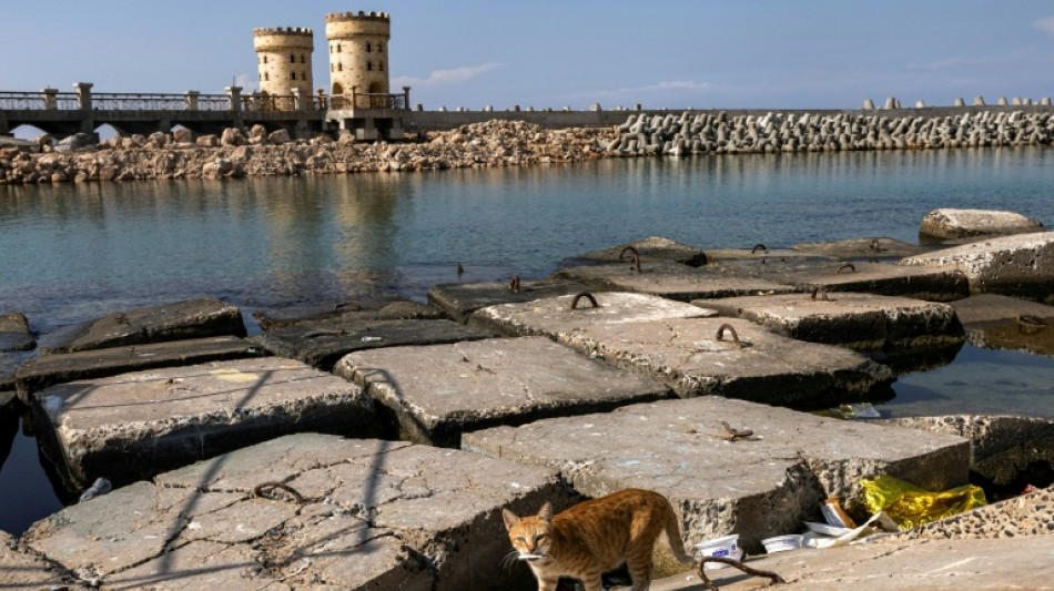 D&eacute;couverte de l'&eacute;pave d'un bateau antique dans la rade d'Alexandrie