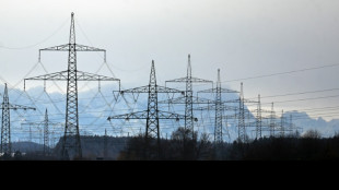 Kein Zuschuss f&uuml;r Netzentgelte: Stromkosten steigen 2024 noch st&auml;rker