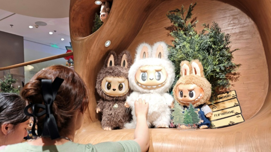 Chine: la police démantèle un groupe criminel vendant des peluches Labubu contrefaites