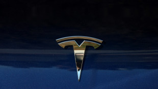 Hafenarbeiter in Schweden schlie&szlig;en sich Streik gegen Tesla an 