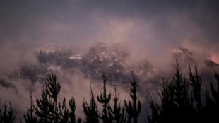 Australia posts reward for arrest of gunman after police killings