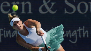 Ex-Wimbledon champion Vondrousova banned four years for refusing drugs test