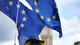 Un d&eacute;cimo aniversario del Brexit entre dudas de la poblaci&oacute;n brit&aacute;nica