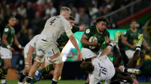 Erasmus celebrates equalling record with win for weakened Springboks