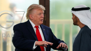 Trump sugiere que sea Siria quien "se ocupe" de Hezbol&aacute;, y no Israel