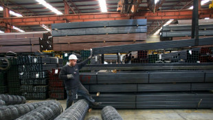 M&eacute;xico negocia con EEUU aranceles m&aacute;s bajos dentro del T-MEC